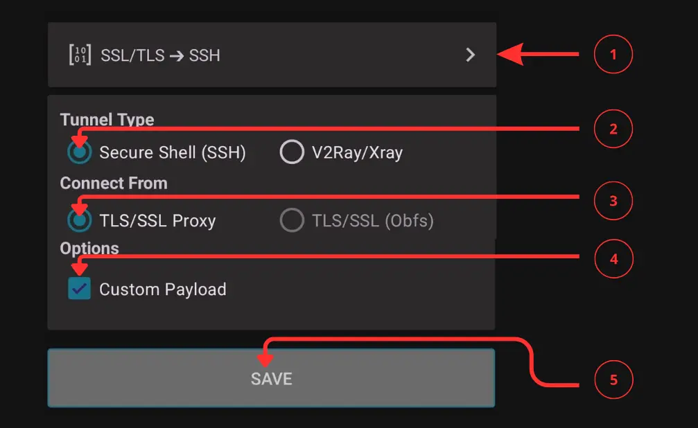 Main Setup in HTTP Injector