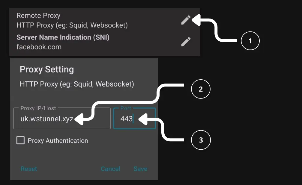 Remote Proxy Setup
