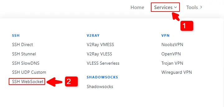 Select SSH WebSocket