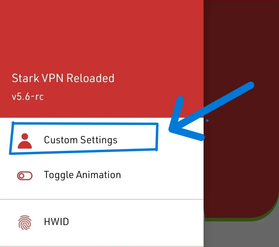 Stark VPN Custom Settings